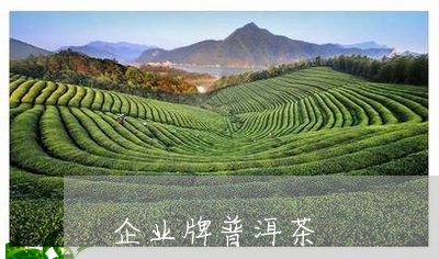 企业牌普洱茶/2023042673903