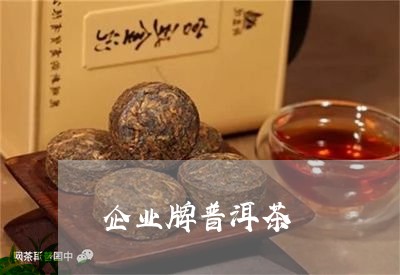 企业牌普洱茶/2023091220613