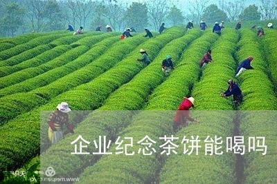 企业纪念茶饼能喝吗/2023042215479