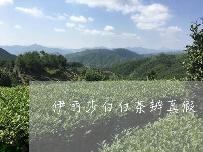 伊丽莎白白茶辨真假/2023081204926