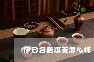 伊日合普洱茶怎么样/2023110569380