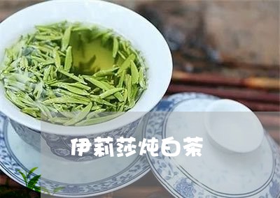 伊莉莎炖白茶/2023051261916