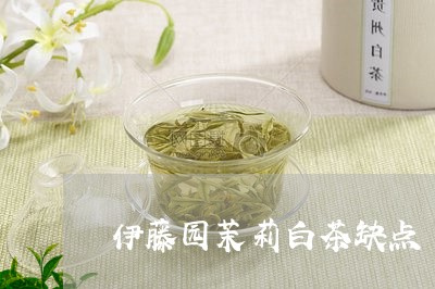 伊藤园茉莉白茶缺点/2023081248472