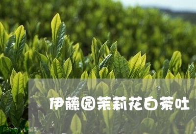 伊藤园茉莉花白茶吐/2023071403846