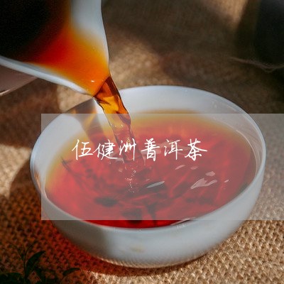 伍健洲普洱茶/2023042590189