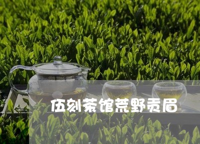 伍刻茶馆荒野贡眉/2023090739382