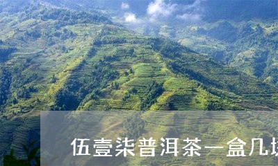 伍壹柒普洱茶一盒几块/2023062491602