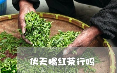 伏天喝红茶行吗/2023042927993