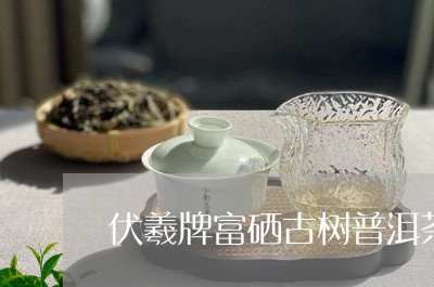 伏羲牌富硒古树普洱茶/2023092885059