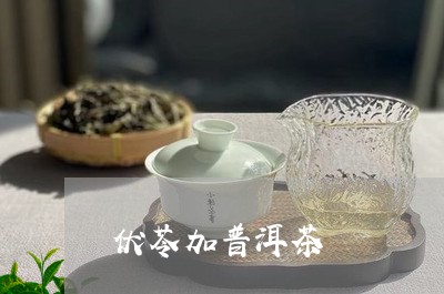 伏苓加普洱茶/2023042655763