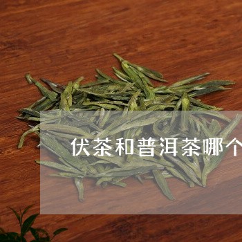 伏茶和普洱茶哪个好/2023071008372