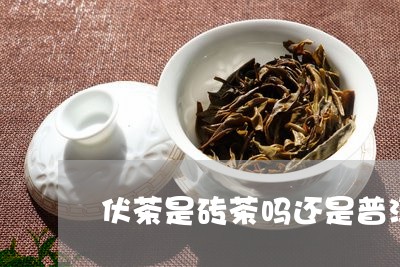 伏茶是砖茶吗还是普洱茶/2023103158350