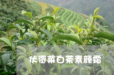 伏资菜白茶素颜霜/2023061585361