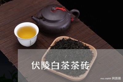 伏陵白茶茶砖/2023051212725