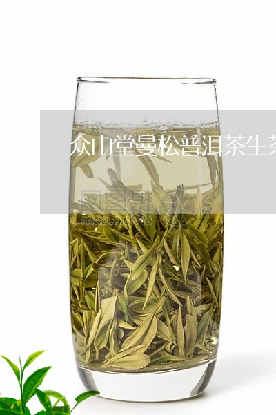 众山堂曼松普洱茶生茶/2023062138350