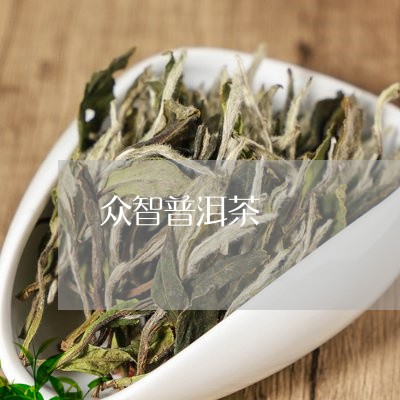 众智普洱茶/2023090529613