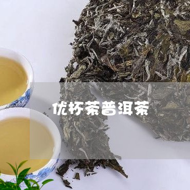 优杯茶普洱茶/2023042809337