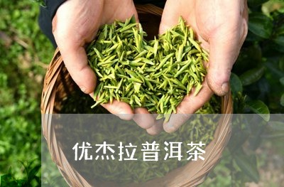 优杰拉普洱茶/2023042939001