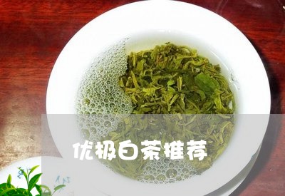 优极白茶推荐/2023051235268