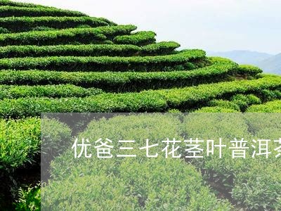 优爸三七花茎叶普洱茶/2023062254047