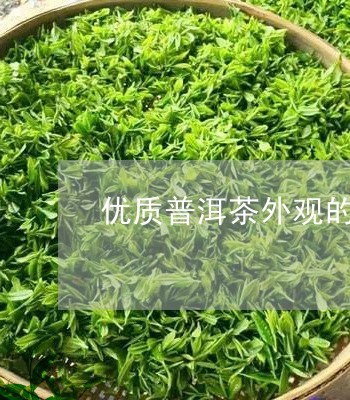 优质普洱茶外观的特点/2023062730685