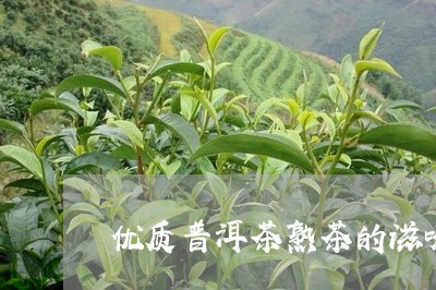 优质普洱茶熟茶的滋味/2023100822694