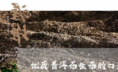 优质普洱茶生茶的口感/2023100770895