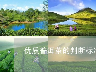 优质普洱茶的判断标准/2023100871803