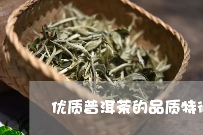 优质普洱茶的品质特征/2023073127391