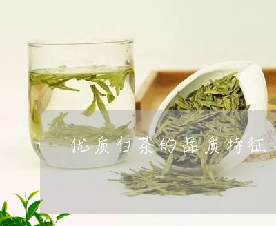 优质白茶的品质特征/2023121603847