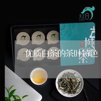 优质白茶的茶叶特色/2023121627172