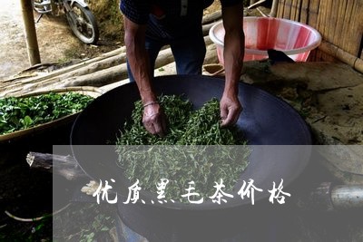 优质黑毛茶价格/2023050192907