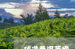 优选普洱茶榜/2023042612489