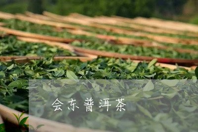 会东普洱茶/2023090573926