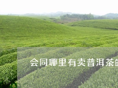 会同哪里有卖普洱茶的/2023073182604