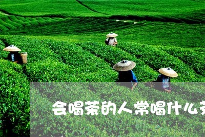 会喝茶的人常喝什么茶/2023060889279