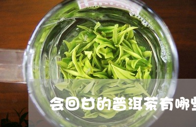 会回甘的普洱茶有哪些/2023061784939