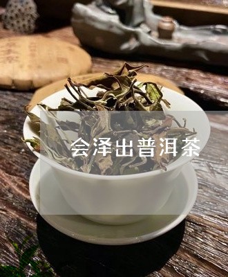 会泽出普洱茶/2023042682472