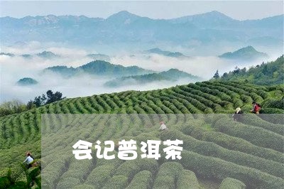 会记普洱茶/2023110991049