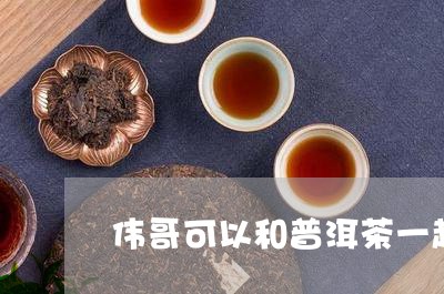 伟哥可以和普洱茶一起喝吗/2023051085928