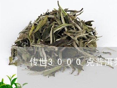 传世3000克普洱茶/2023080391606