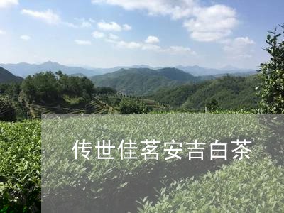 传世佳茗安吉白茶/2023061420263