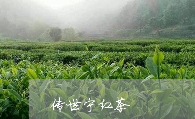 传世宁红茶/2023110927170