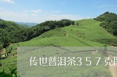 传世普洱茶357克图片/2023110390704