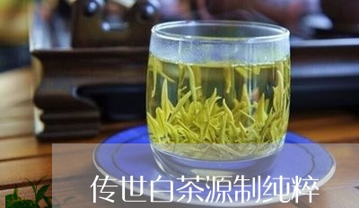 传世白茶源制纯粹/2023061449515