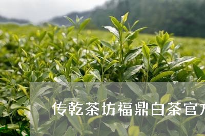 传乾茶坊福鼎白茶官方/2023120731725