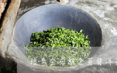 传奇会布朗金芽普洱茶/2023093015160