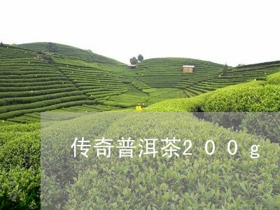 传奇普洱茶200g/2023082602249