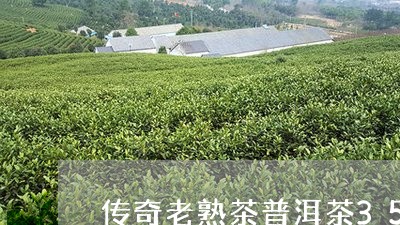 传奇老熟茶普洱茶357克/2023102576572