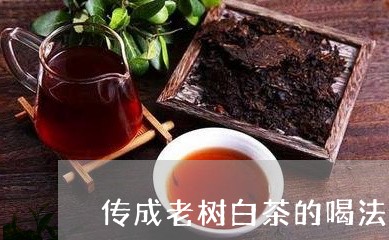 传成老树白茶的喝法/2023071415169